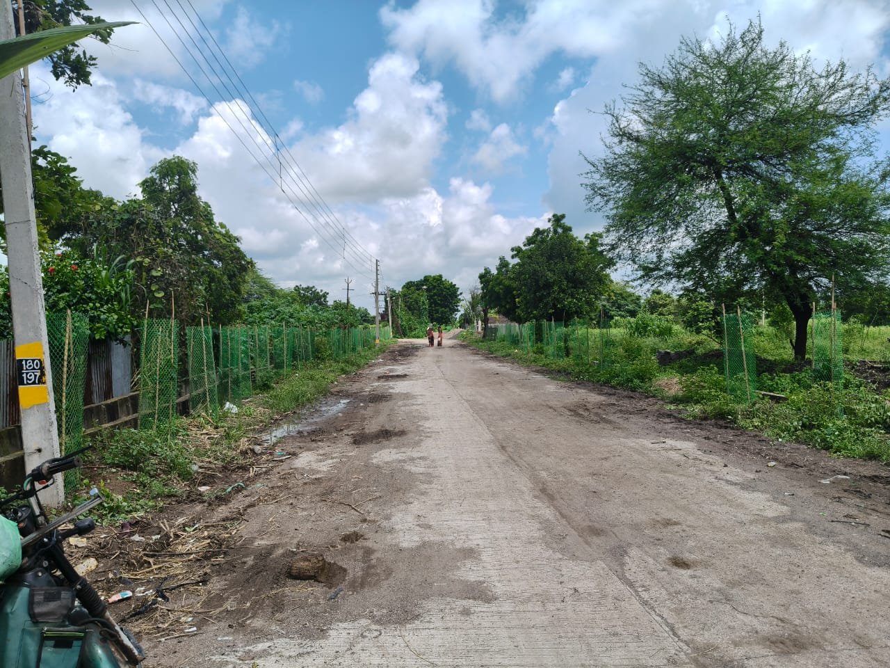 वृक्ष लागवड व संगोपन